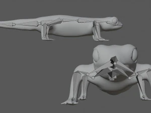 fire salamander 3D Model