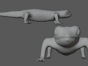 fire salamander 3D Model