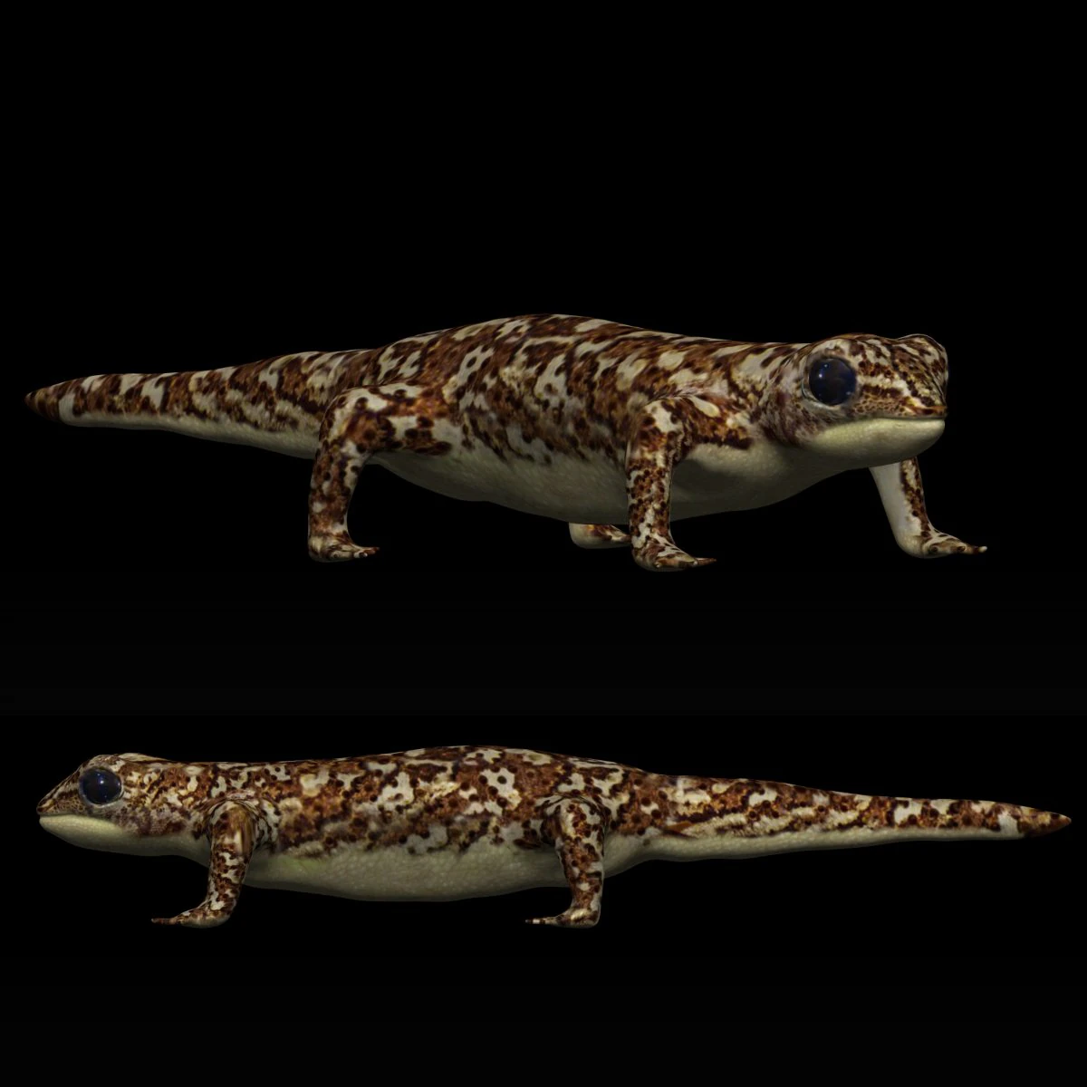 gecko lizard 3D Model .c4d .max .obj .3ds .fbx .stl .blend 