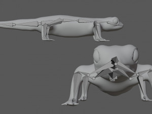 gecko lizard Modello 3D