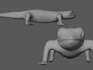 gecko lizard Modello 3D