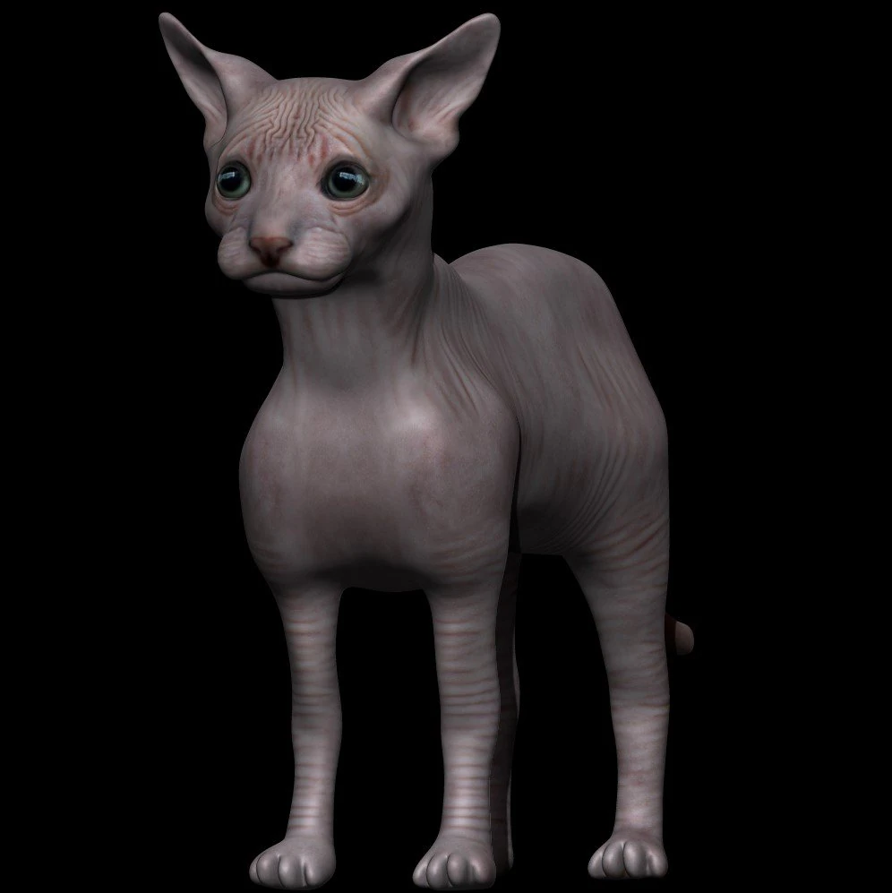 sphynx cat 3D Model .c4d .max .obj .3ds .fbx .stl .blend