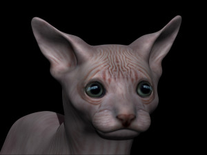 sphynx cat 3D Model