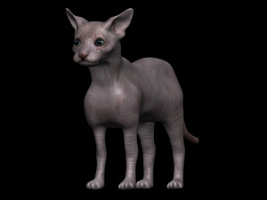 sphynx cat 3D Model
