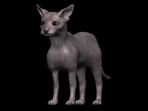 sphynx cat 3D Model