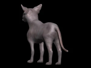 sphynx cat 3D Model