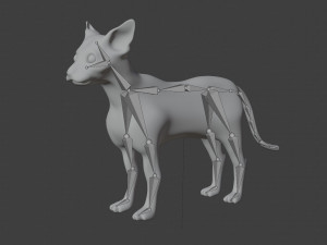 sphynx cat 3D Model