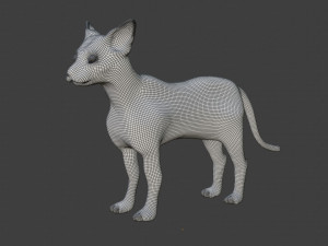 sphynx cat 3D Model