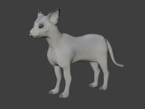 sphynx cat 3D Model