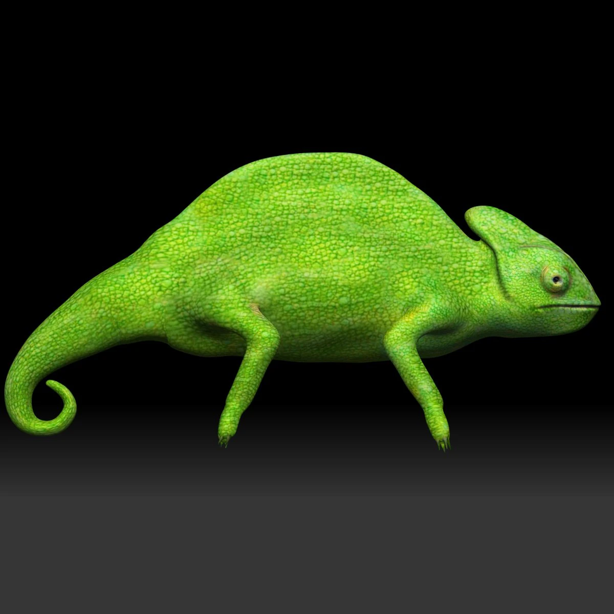 green chameleon 3D Model .c4d .max .obj .3ds .fbx .stl .blend