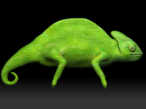 green chameleon 3D Model