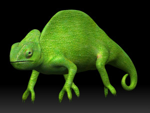 green chameleon Model 3D