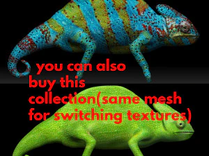 green chameleon 3D Model