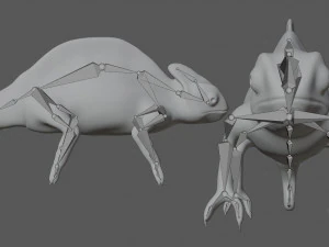 green chameleon 3D Model