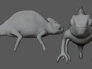 green chameleon 3D Model
