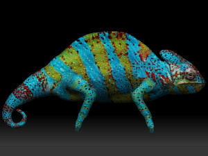 color chameleon 3D-Modell