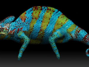color chameleon 3D Model