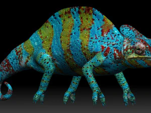 color chameleon 3D Model