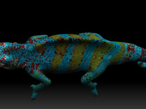 color chameleon 3D Model