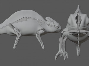 color chameleon 3D Model