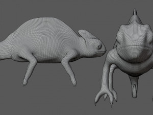 color chameleon 3D Model