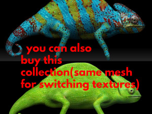 color chameleon 3D Model