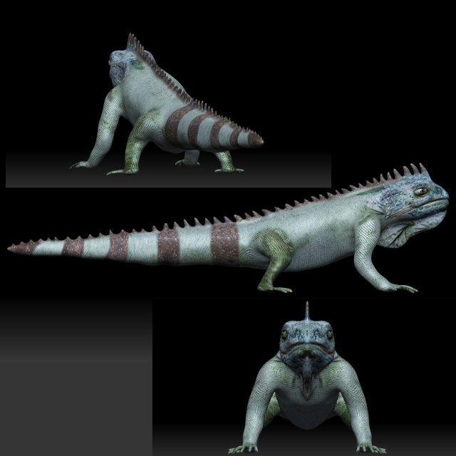 iguana 3D Model .c4d .max .obj .3ds .fbx .stl .blend 