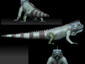 iguana Model 3D