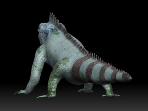 iguana 3D Model