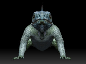iguana 3D Model