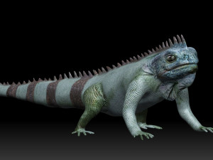 iguana 3D Model