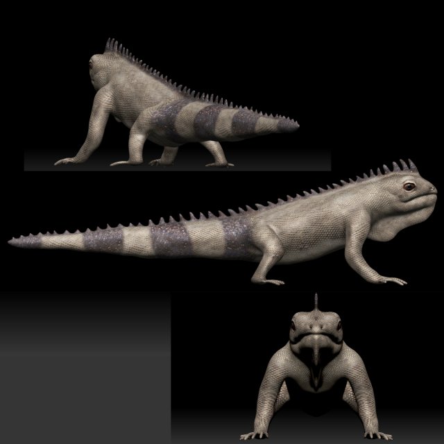 iguana Modello 3D .c4d .max .obj .3ds .fbx .stl .blend 