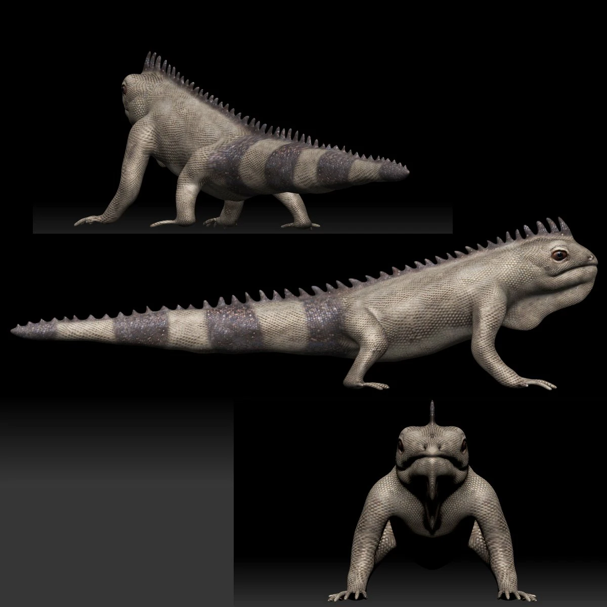 iguana 3D Model .c4d .max .obj .3ds .fbx .stl .blend 
