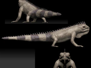 iguana Modello 3D
