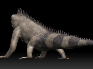 iguana Modello 3D