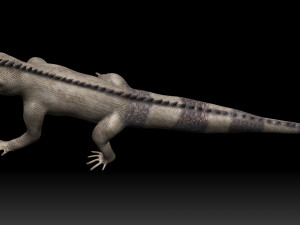 iguana Modello 3D