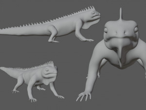iguana Modello 3D