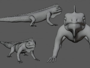iguana Modello 3D