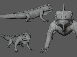 iguana 3D Model