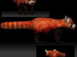 panda merah Model 3D