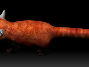 red panda Modello 3D