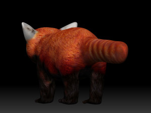 red panda Modello 3D