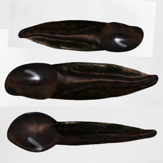 tadpole 3D Model .c4d .max .obj .3ds .fbx .stl .blend 
