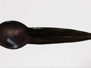 tadpole 3D Model