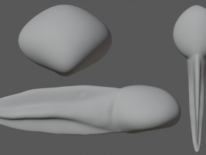 tadpole 3D Model