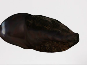 tadpole 3D Model