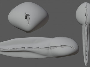 tadpole 3D Model