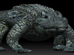 alligator crocodile 3D Model