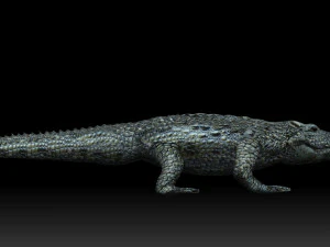 alligator crocodile 3D Model