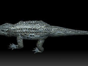 alligator crocodile 3D Модель